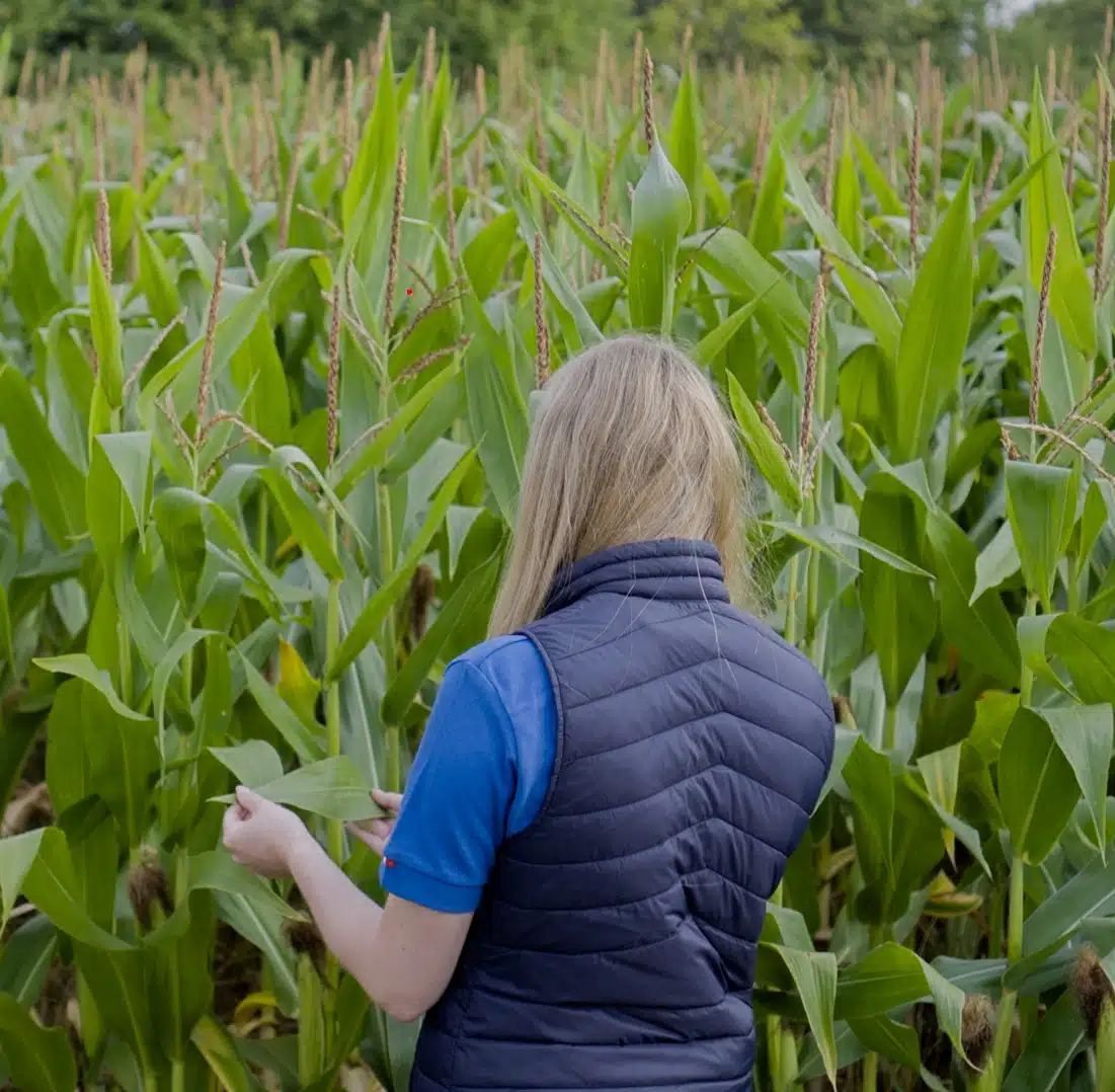 Nature,sustainable,agriculture