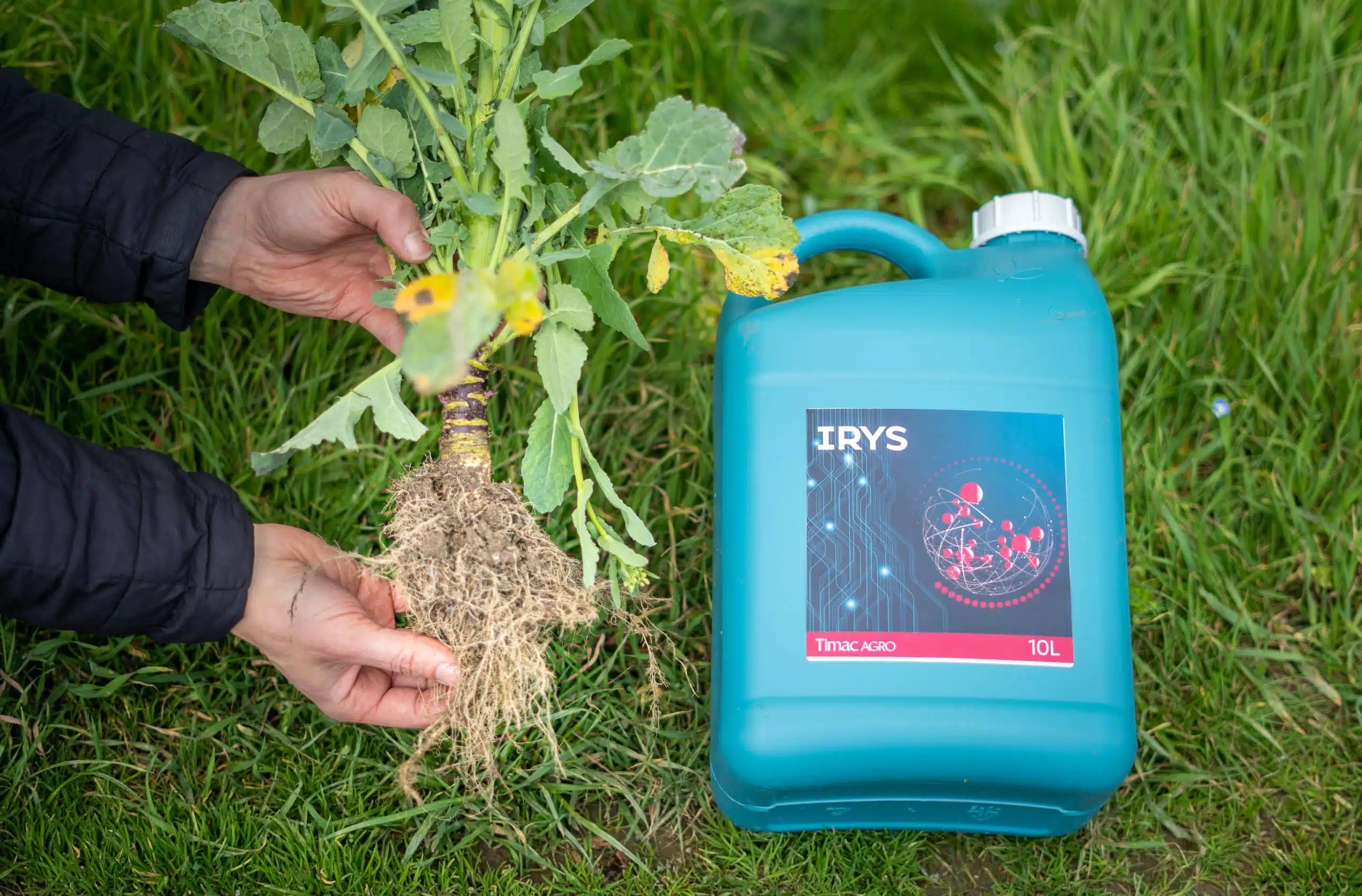 photo - Irys in the field